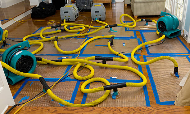 Professional Water Damage Repair technician working in Concho, OK