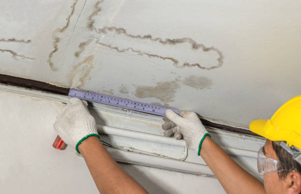 Affordable Water Damage Repair solutions in Concho, OK